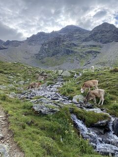 Foto von Giorgia Gnesetti entlang der Tour