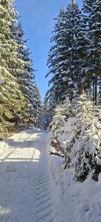 Foto von Mario Thomaschütz entlang der Tour