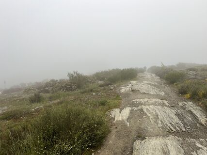 Foto von Andor Kulik entlang der Tour