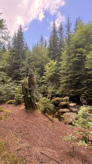 Foto von Richard Vlcek entlang der Tour
