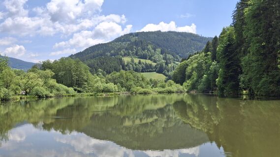 Foto von Monika Wirth entlang der Tour
