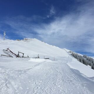 Blick Richtung Hochgrat-Gipfel