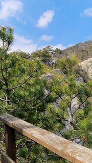 Fotografia z Elisabeth Rossa na trase