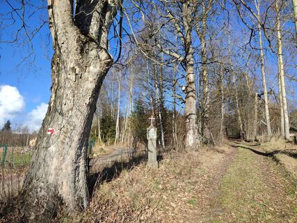 Weg ist immer gut markiert, hier verlässt man die Straße