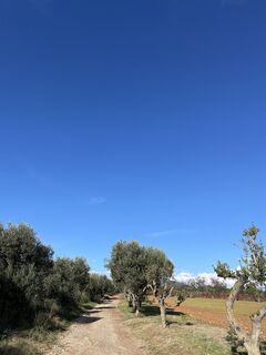 Fotografija s spletne strani Veronika Köppen na poti