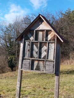 Foto von Stephane Cappellaro entlang der Tour