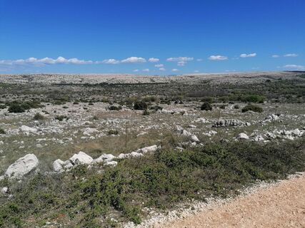 Fotografija s spletne strani Marjan Ostruh na poti