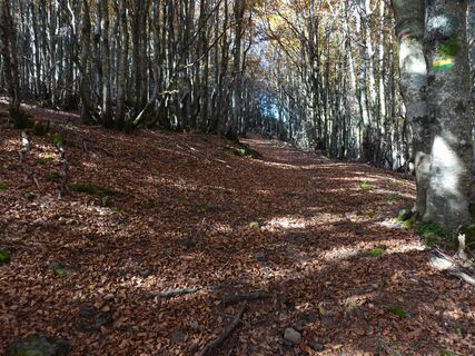 Fotografia z lorenzo lunardi na trase