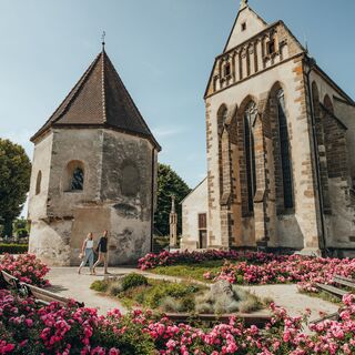 Basilika St. Laurenz in Enns