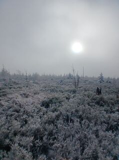 Foto de Daniel Kremiec a lo largo del recorrido