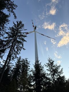 Fotografia z Wilson Holz na trase