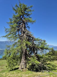 Foto von Gerfried Süßenbacher entlang der Tour