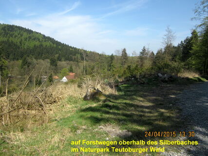 Silberbachtal