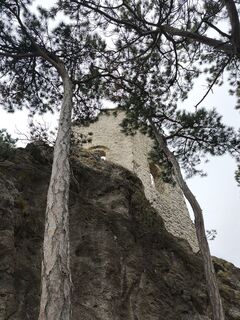 Foto da Rita Spies lungo il tour