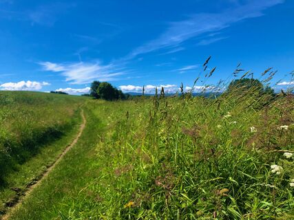 Feldweg zwischen Annaberg Buchholz und Bärenstein