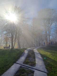 Photo de greinerin le long du parcours