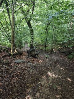 Foto de Björn Heun a lo largo del recorrido