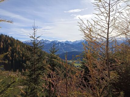 Foto von DH entlang der Tour