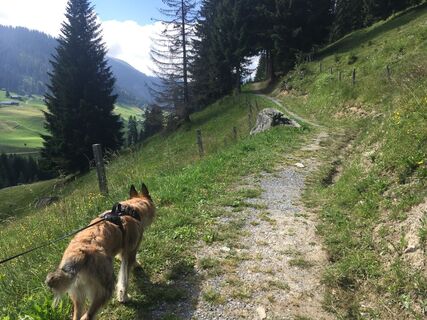 kritische Stelle für den Rollstuhl