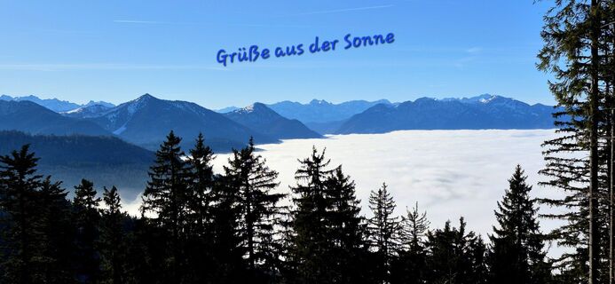 Fotografie z Thomas Schekira na trase