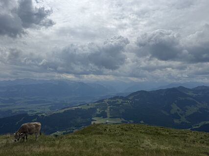 Fotografia z Nisha Schweitzer na trase