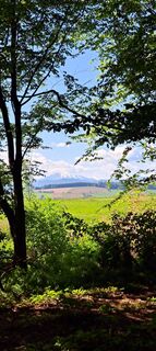 Photo de Anita Lunzer 1 le long du parcours