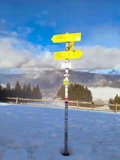 Zdjęcie z Darija Forgač wzdłuż trasy