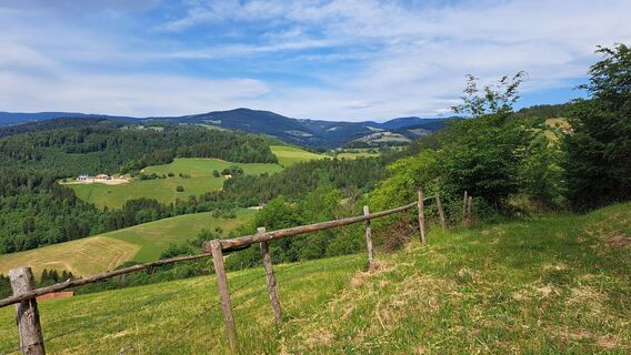 Foto von Roland Meitz entlang der Tour