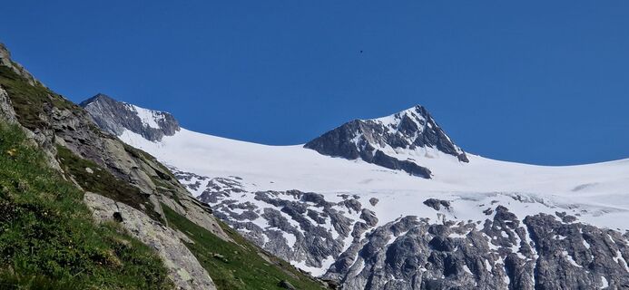 Fotografija s spletne strani Thomas Martin na poti