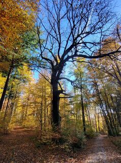 Foto von Manni K entlang der Tour