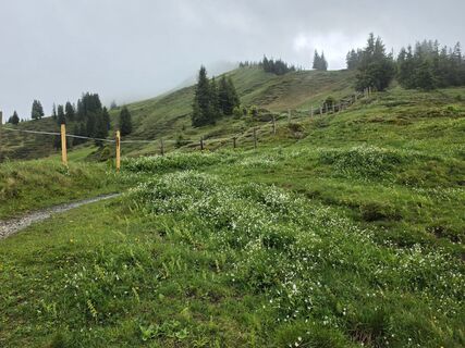 Photo de Gudrun Lippert le long du parcours