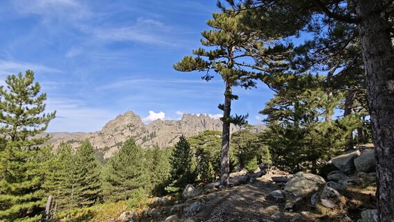 Photo de Franz Maier 8 le long du parcours