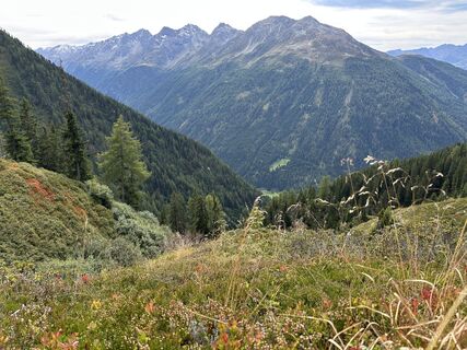 Fotografie de la Simon Bauer 1268 de-a lungul turului