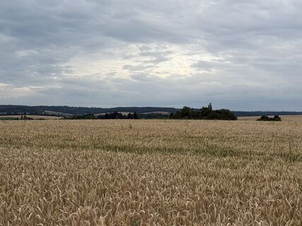Foto von Schaali entlang der Tour