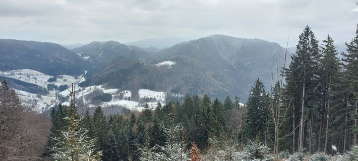Fotografija s spletne strani Claudia Michael na poti