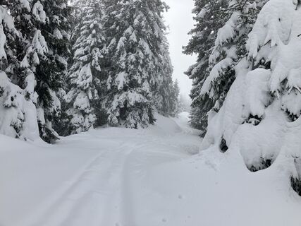 Foto von Martin Würsch entlang der Tour