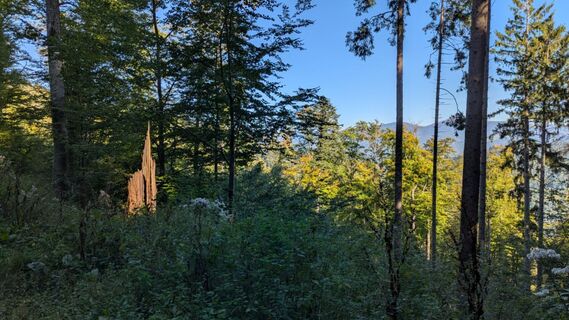 Foto von Richard Schwald entlang der Tour