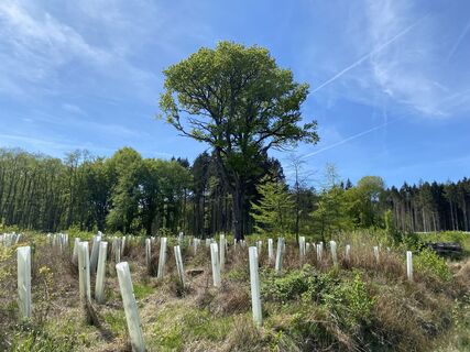 Foto von Arthur Muskalla entlang der Tour