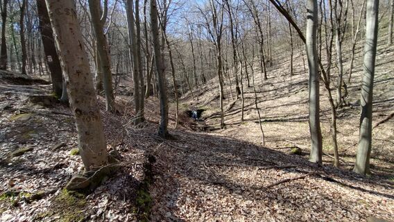 Foto de István Gábor 1 a lo largo del recorrido