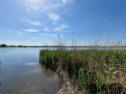 Zdjęcie z Szomi Balázs wzdłuż trasy
