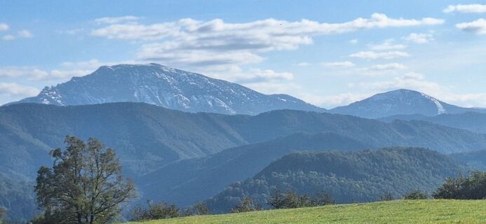 Fotografia z Andreas Wenighofer na trase