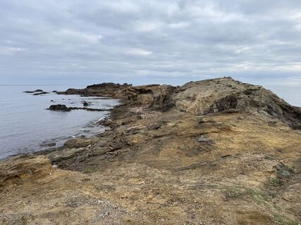Zdjęcie z Heidi wzdłuż trasy