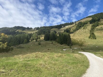 Foto de Heinz Sperl a lo largo del recorrido