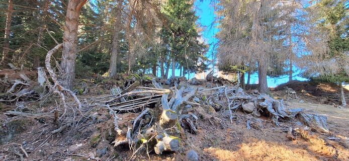 Fotografie z Mario Moldenhauer na trase
