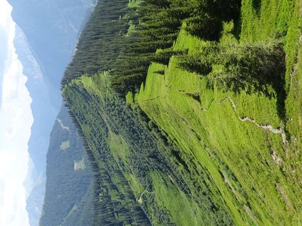 Rückblick vom Vöttleck zum Hühnerkogel