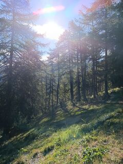 Foto von Annalisa Racca entlang der Tour