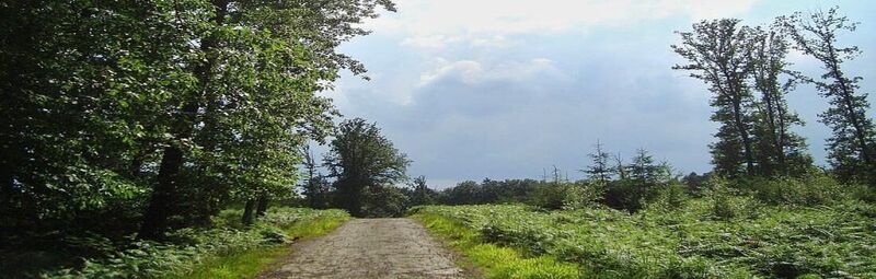 Zemljevid