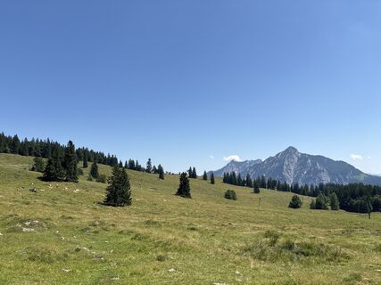 Fotografie de la Heinz Sperl de-a lungul turului