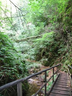 Friedensweg mit Rastenbachklamm