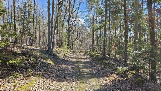 7.4 km Weg an der Gemeindegrenze